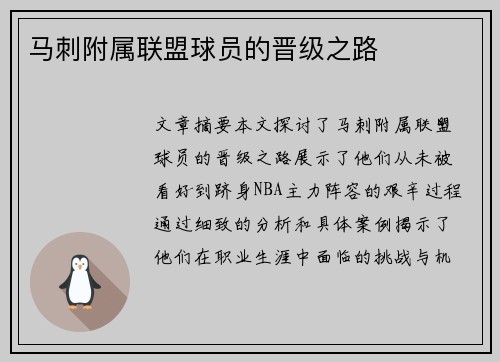 马刺附属联盟球员的晋级之路